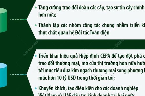 Năm trọng tâm hợp tác giữa Việt Nam và UAE trong thời gian tới