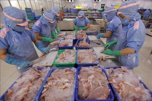 Khôi phục nhanh sản xuất, nuôi trồng thủy sản để về đích