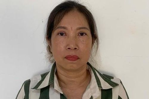 Dùng giấy tờ giả để lừa vay 500 triệu đồng, người phụ nữ bị khởi tố