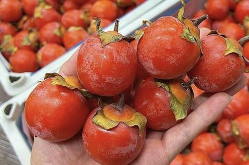 Sự thật về loại quả đang 'làm mưa làm gió' ở chợ Việt