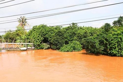 Ngập trên diện rộng ở Đồng Nai, người dân trắng đêm chạy lũ
