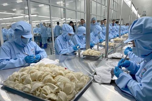 Yến sào Khánh Hòa báo lãi 8 tỷ đồng trong quý III/2024
