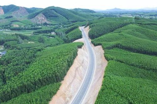 Sạt lở nghiêm trọng trên dự án giao thông trọng điểm Quốc lộ 7C
