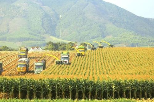 Doanh nghiệp thương hiệu quốc gia tiên phong trong chuyển đổi xanh