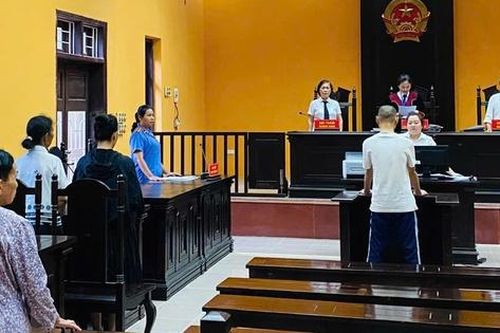 Tuyên phạt 15 tháng tù cho 'nghịch tử' nhiều lần đánh đập mẹ đẻ
