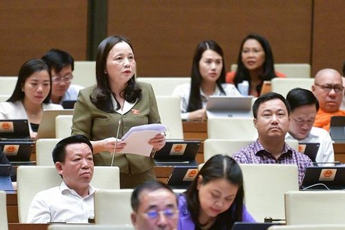 ĐBQH Cầm Thị Mẫn (Đoàn ĐBQH Thanh Hóa) tham gia góp ý về một số nội dung còn ý kiến khác nhau của dự thảo Luật Thuế giá trị gia tăng (sửa đổi)