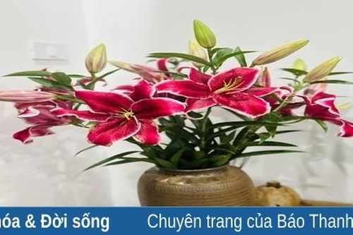 Yêu thương mỗi ngày