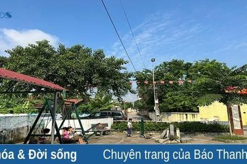 Quan tâm đầu tư trang thiết bị luyện tập thể dục - thể thao công cộng