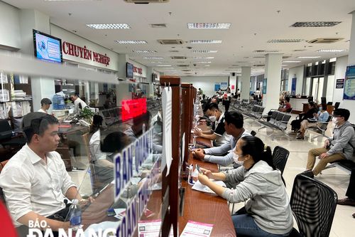 Hỗ trợ doanh nghiệp thực hiện thủ tục về môi trường