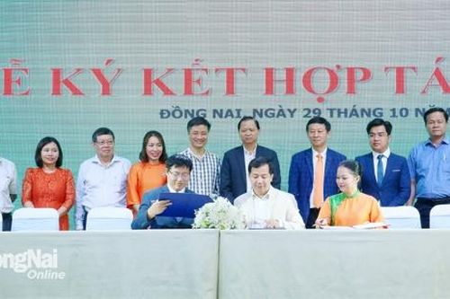 Kết nối các dự án khởi nghiệp Đồng Nai