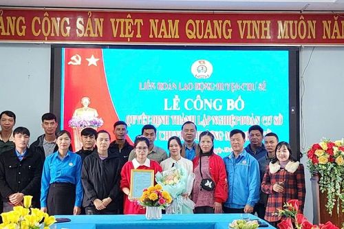 Thành lập Nghiệp đoàn cơ sở đầu tiên tại huyện Chư Sê