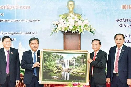 Hội đồng nhân dân 2 tỉnh Gia Lai-Salavan: Trao đổi kinh nghiệm để cùng phát triển