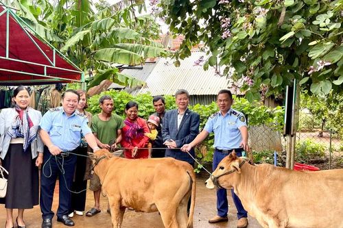 Trao sinh kế, bàn giao nhà tình nghĩa cho hộ nghèo