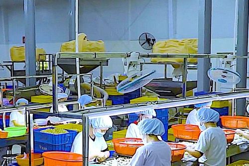 Nâng cao hiệu quả quản lý khu công nghiệp, khu kinh tế