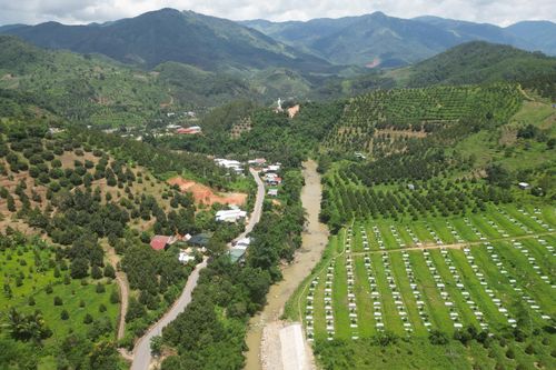 Khánh Sơn: Quan tâm kết nối tiêu thụ nông sản