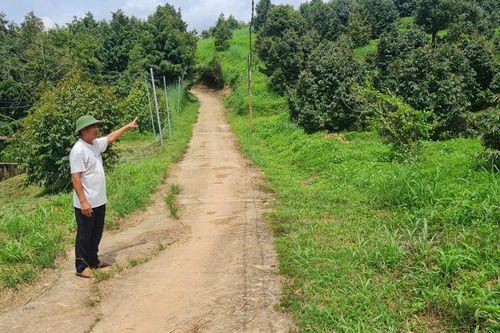 Cựu chiến binh chung sức xây dựng nông thôn mới