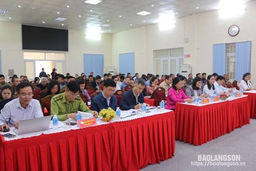 Tọa đàm 'Giải pháp thâm canh cây hồi, nâng cao giá trị và phát triển bền vững'