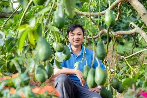 Khơi sáng những miền quê đáng sống (Bài 3)