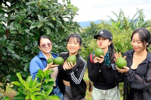 Sản phẩm OCOP - điểm nhấn khác biệt của du lịch nông thôn