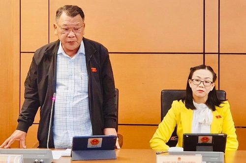 Đại biểu Quốc hội tỉnh Lâm Đồng tham gia thảo luận, góp ý dự thảo Luật Đầu tư công