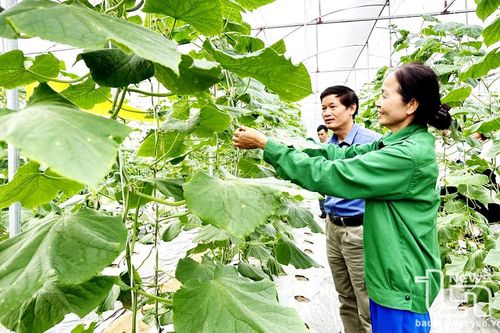 Sản xuất nông nghiệp 'sạch': Bắt đầu từ thay đổi nhận thức