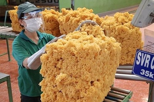 Cao su Đồng Phú (DPR) báo lãi tăng trưởng 31%, nhiều khả năng vượt mục tiêu cả năm