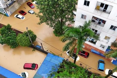 Số vụ kiện đòi bồi thường bảo hiểm xe cơ giới tăng mạnh