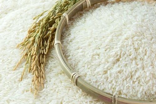 Không có gạo Việt Nam trong danh sách bị tạm giữ tại Thụy Điển
