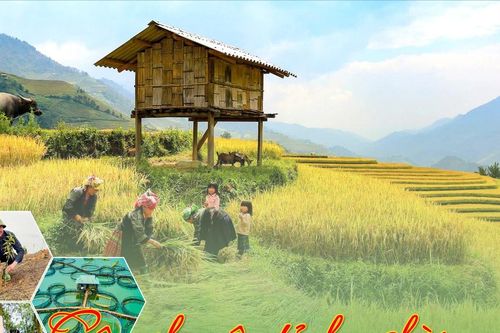 Kỳ 1: Quyết liệt, đồng bộ