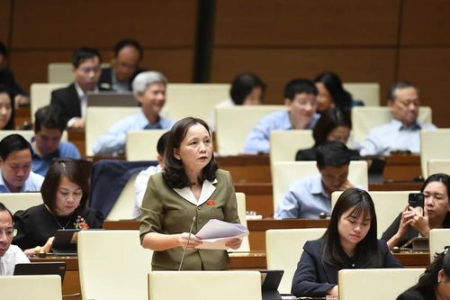 Áp dụng thuế suất 5% giúp bình ổn thị trường phân bón trong nước