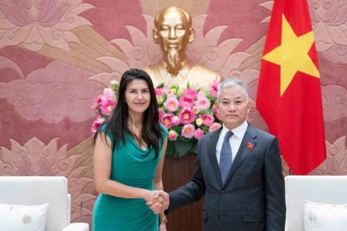 Phó Chủ nhiệm Ủy ban Đối ngoại Đôn Tuấn Phong tiếp nghị sĩ CHLB Đức Serap Guler