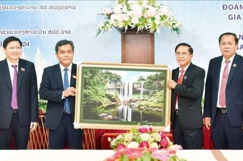 Trao đổi kinh nghiệm hoạt động để cùng phát triển