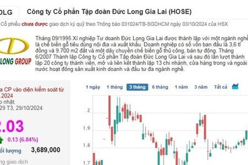 Cổ phiếu DLG tăng trần ngay khi Đức Long Gia Lai báo lãi lớn nhờ 'bán con'
