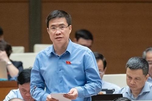 Đề cập thương mại điện tử giá rẻ, đại biểu lo tình trạng 'xé nhỏ' giá trị đơn hàng để tránh thuế