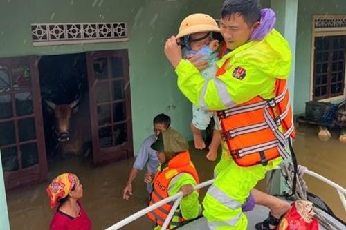 Tuyệt đối không sử dụng gia súc, gia cầm chết trong mưa lũ làm thức ăn