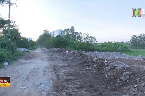 Huyện Thanh Trì cần có biện pháp chống đổ trộm đất, trạc thải