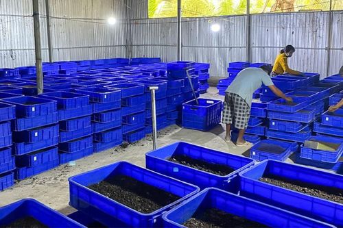 Ấn tượng những dự án khởi nghiệp trẻ