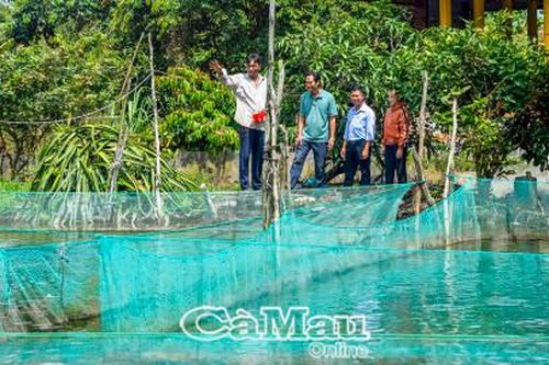 Đội ngũ hoạt động ở ấp, khóm: Tựa tre, chăm măng - Bài 2: Những tín hiệu tích cực