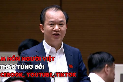 ĐBQH: 'Người Việt đang ở đây nhưng tâm hồn bị thao túng bởi Facebook, Tiktok'