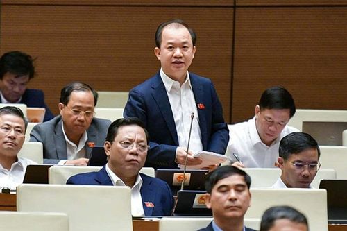 'Đừng nhìn vài bộ phim của Trấn Thành, Lý Hải mà tưởng điện ảnh Việt tươi sáng'