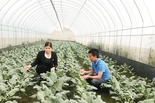 Giải pháp cốt lõi