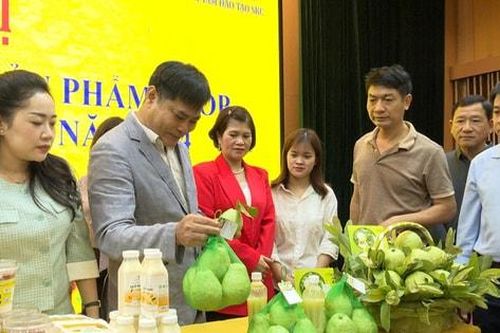 Hoài Đức: Đánh giá, phân hạng 17 sản phẩm OCOP