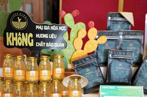36 dự án khởi nghiệp xanh sẽ tranh tài ở vòng chung kết