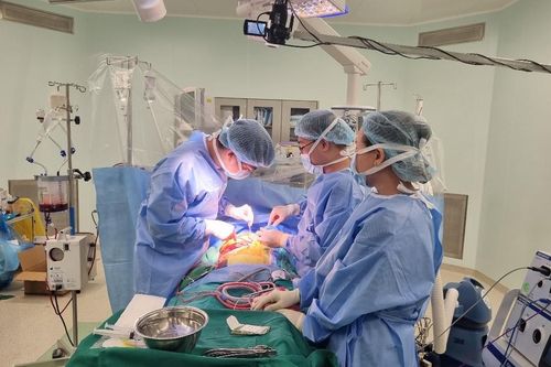Thêm một bệnh viện ở TP.HCM thực hiện kỹ thuật ghép tạng