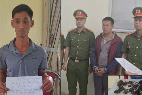 Làm rõ đường dây mua bán trái phép động vật nguy cấp quý hiếm liên tỉnh