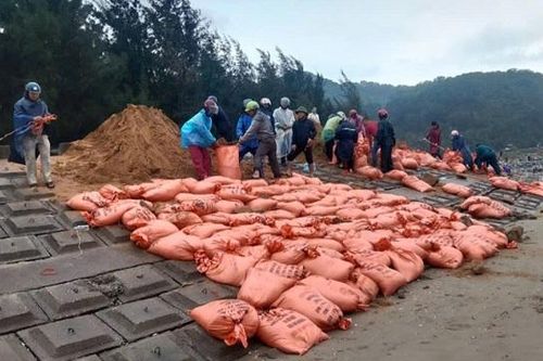 Hà Tĩnh: ứng phó với sự cố mất an toàn các tuyến đê ven biển