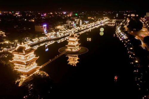 Đoàn đại biểu UNESCO tham quan phố cổ Hoa Lư (Ninh Bình)