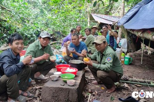 Gia Lai: Môi trường làm việc áp lực, chế độ đãi ngộ chưa tương xứng với lực lượng bảo vệ rừng