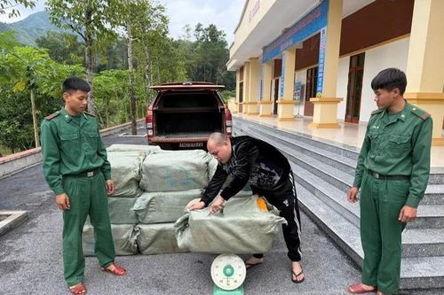 Phát hiện vụ vận chuyển 900 kg nầm đông lạnh không rõ nguồn gốc