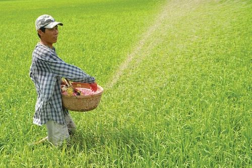 Áp thuế 5% với phân bón, người nông dân được hưởng lợi